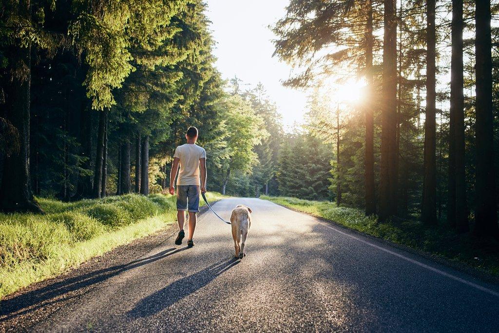 Nejčastější chyby nových majitelů psů
