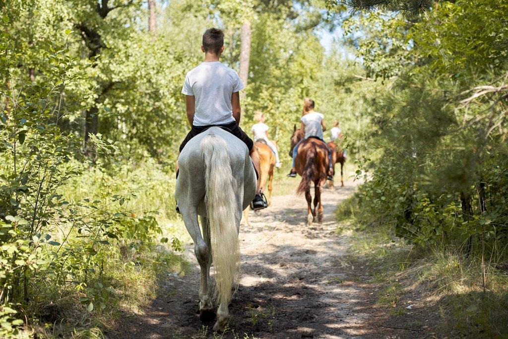 Agroturistika – způsob trávení volného času
