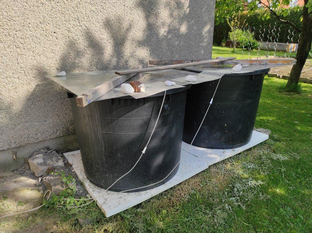Když krevetky žijí v sudu: Tajemství úspěchu Ludvíka Šabršuly