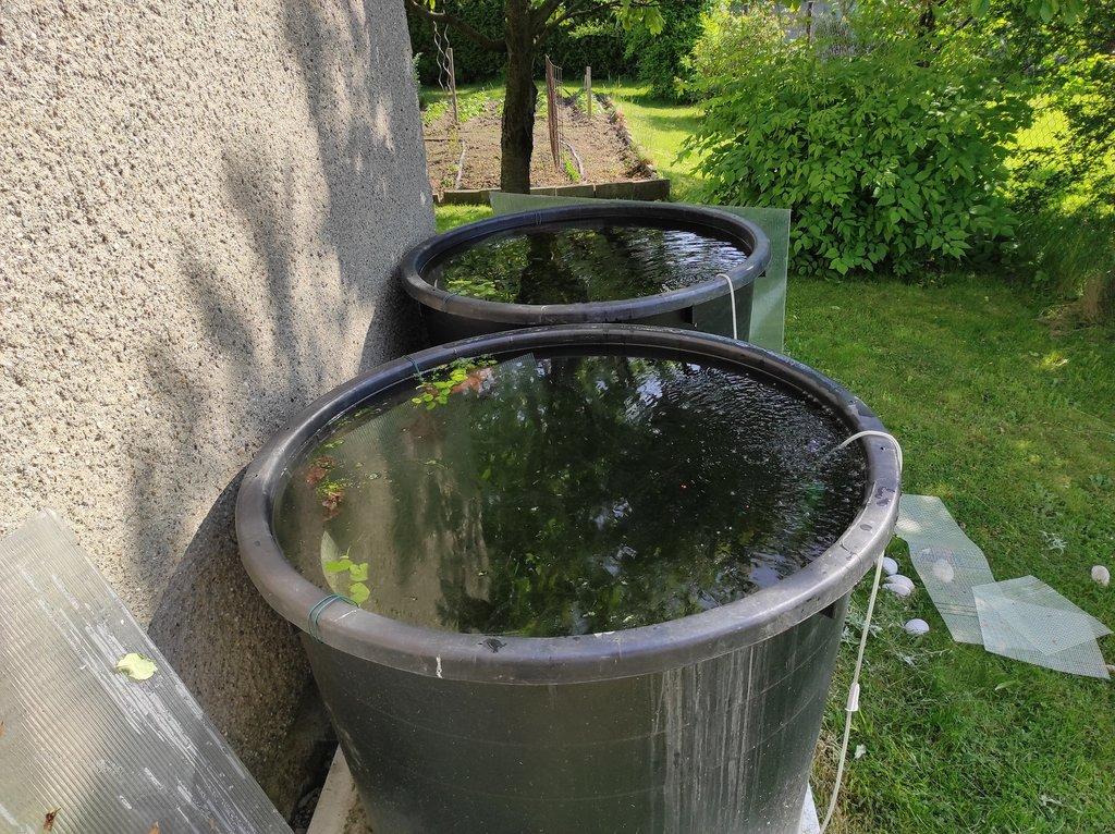 Když krevetky žijí v sudu: Tajemství úspěchu Ludvíka Šabršuly