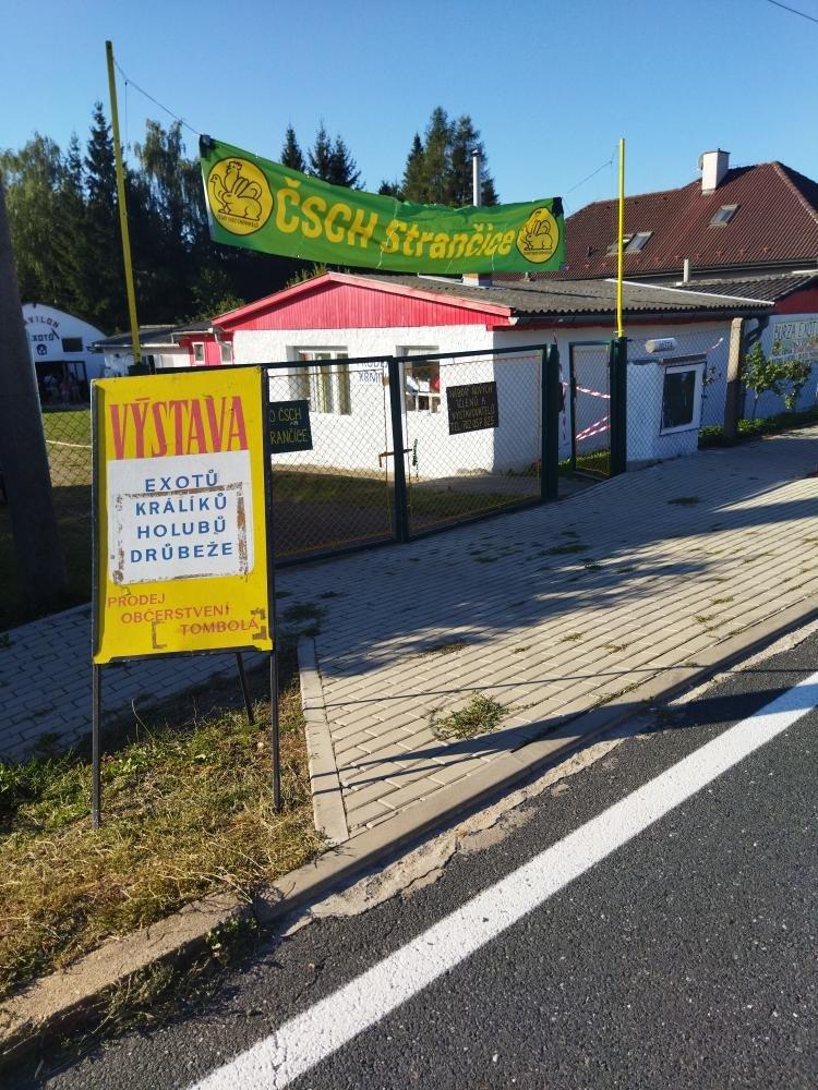 Před pár lety to vypadalo, že skončíme. Teď o nás obavy nemám, říká předseda ZO ČSCH Strančice  Jiří Řejha