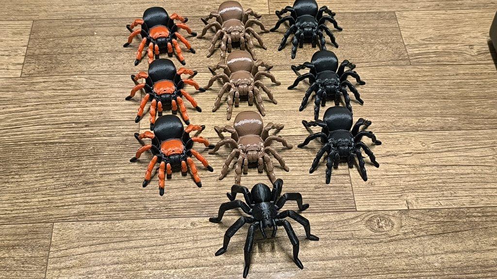 Sklípkani Filamentopelma