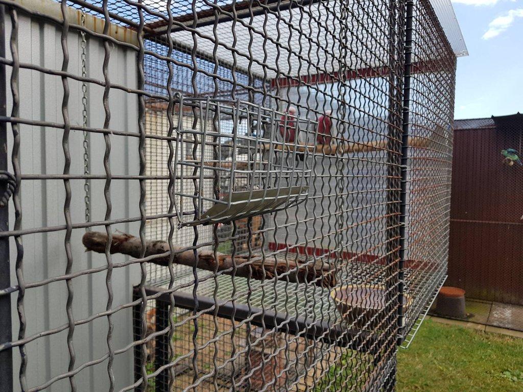 Koupím 1.1 penant modrý zlatý pastel kr 24-25,