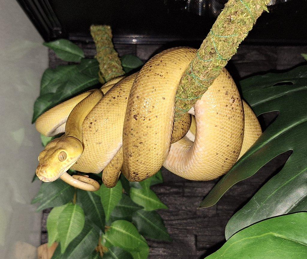 Ponúkam nasledovne druhy: