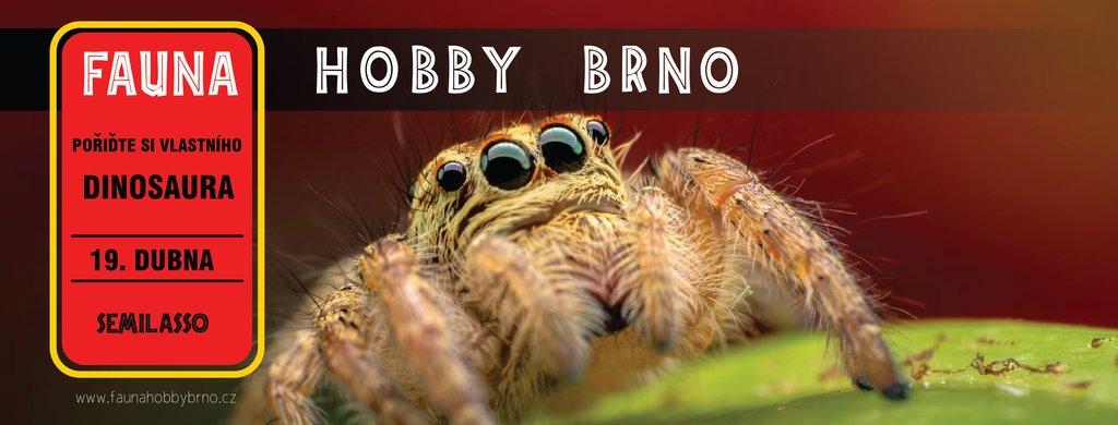 Fauna Hobby Brno 19. 04. 2026