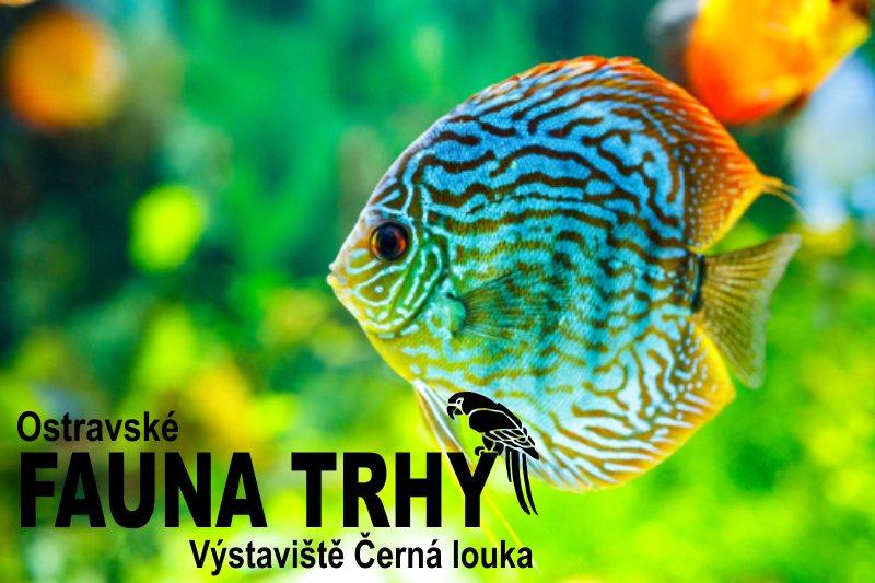 Ostravské Fauna trhy - 25.5.2025