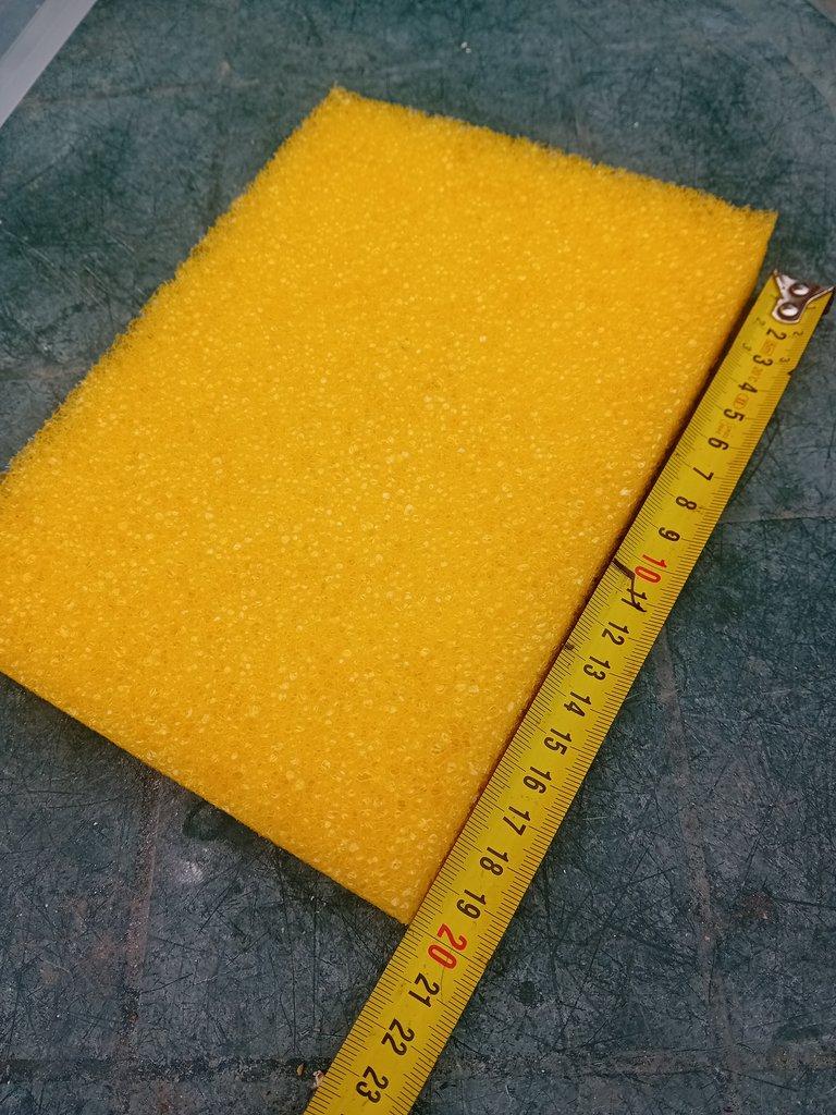 Auloforus - kompletní set na chov