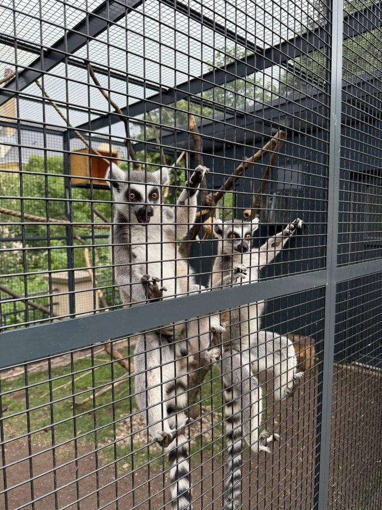 Chovatelské zařízení z PUR panelu