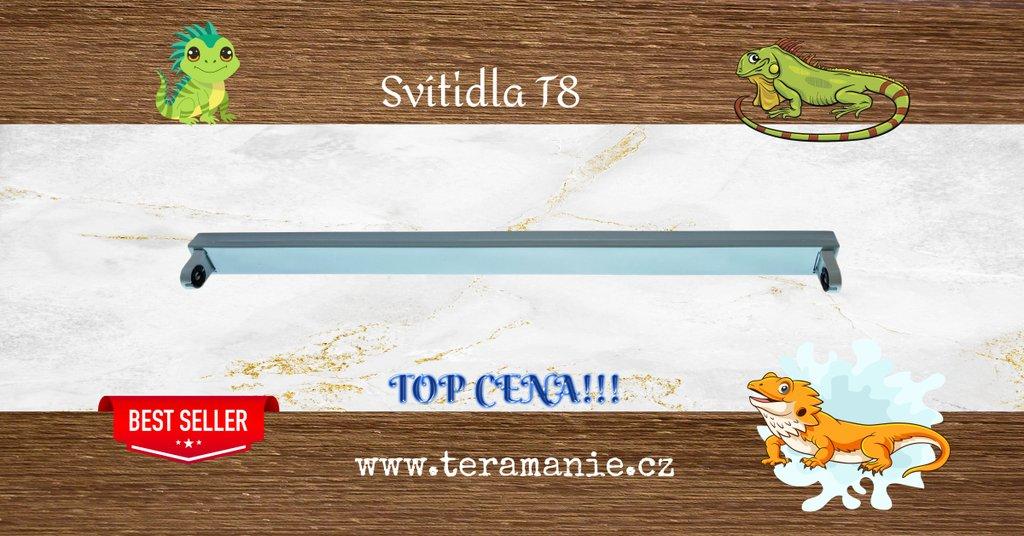 Terárium ,osram biolux,agama vousata