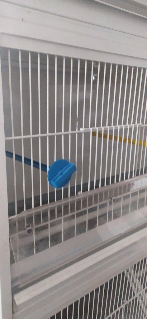 Klece na drobne ptactvo