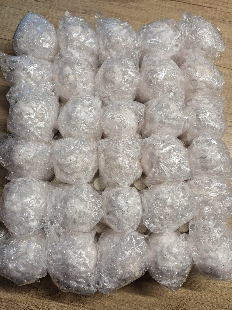 Násadová vajíčka leghornka americká bílá