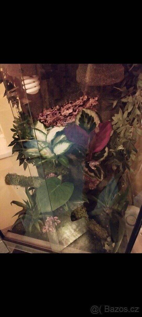 Terárium 60x100x50 ( švh )