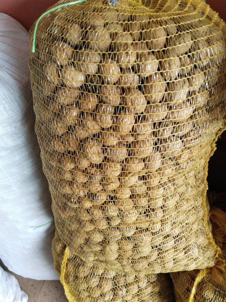 Vlašské a lískové ořechy neloupané