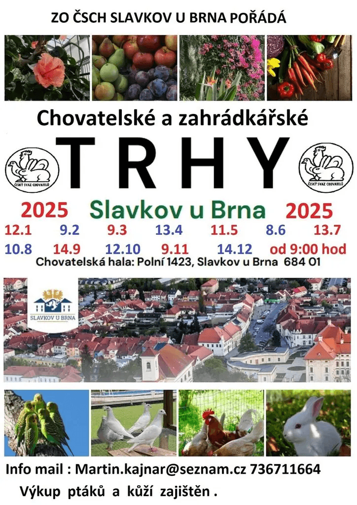 Burza Slavkov u Brna
