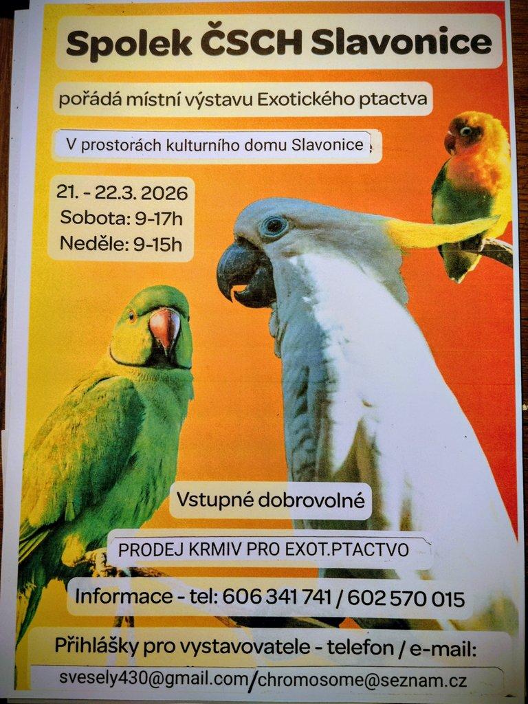 Výstava exotického ptactva