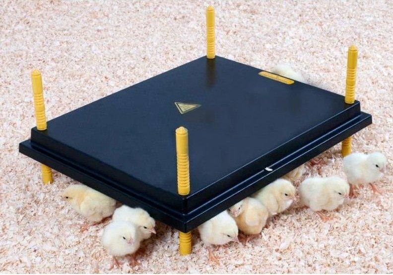 Topná deska WP pro mláďata