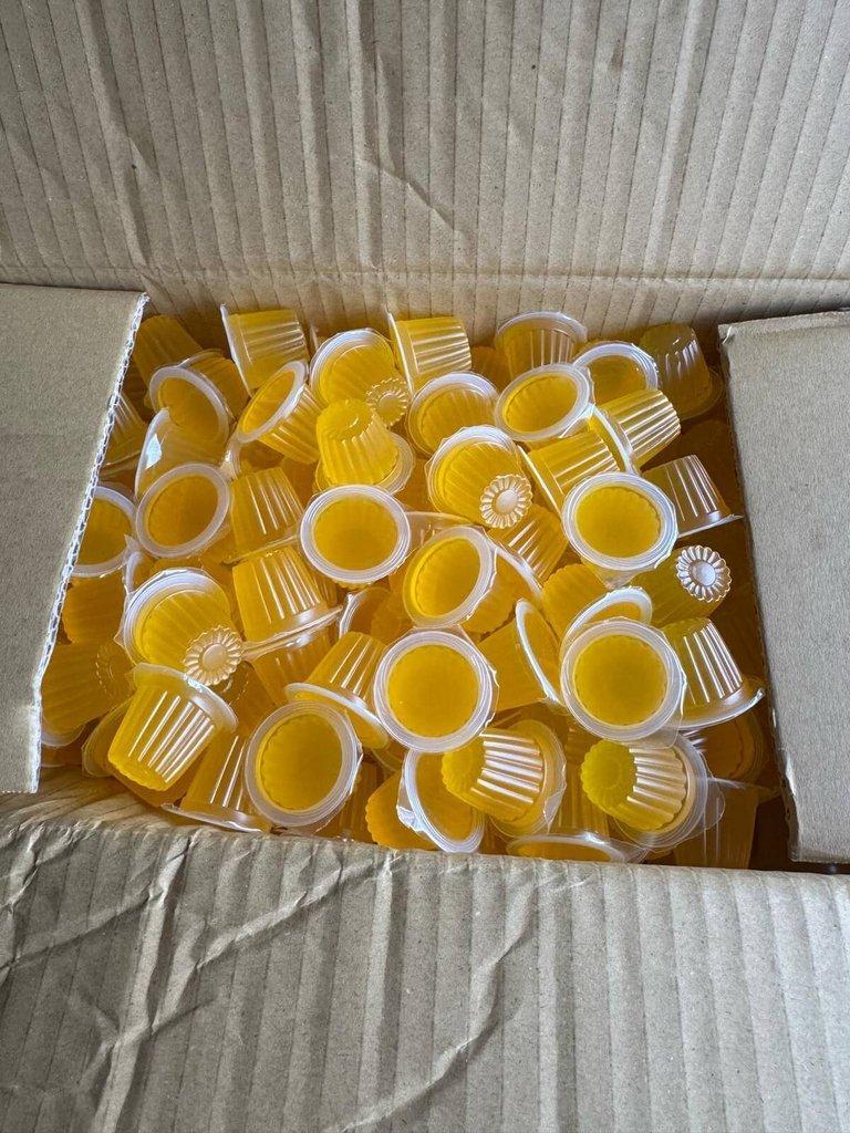 Beetle Jelly -  POSLEDNI KRABICE ... HK - 16.11 + PRAHA 22.11