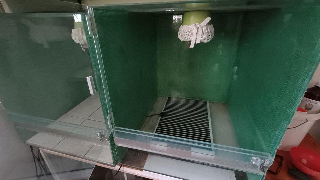 Prodám 2x terárium 45*55*51 cm