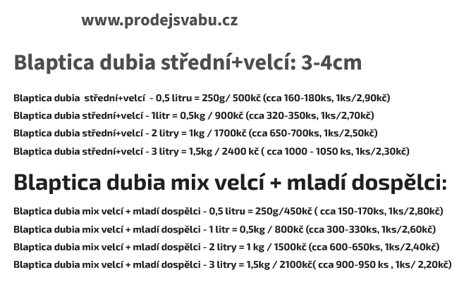 Švábi Blaptica dubia 3 - 4 cm