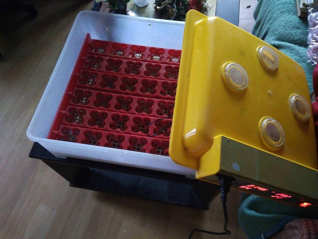 Líheň automatická na 36 vajec