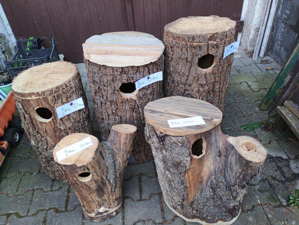 Prodám kmenové budky .