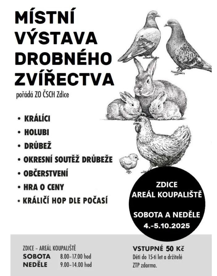 Výstava