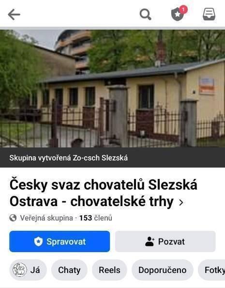 Chovatelské trhy Slezská Ostrava