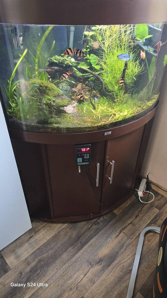 Rohové akvarium 200l s veškerým příslušenstvím