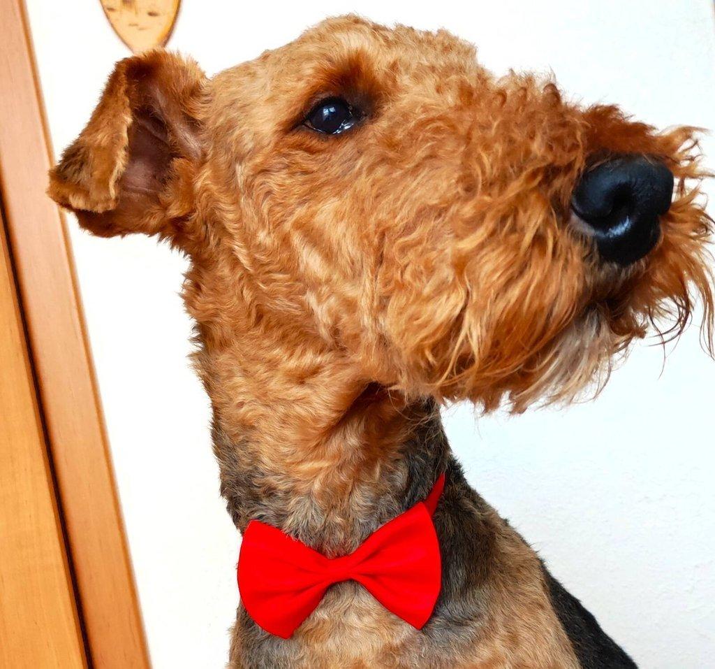 Chovatelské potřeby