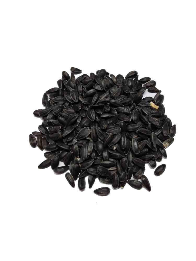 Slunečnice  černá - 17 Kč