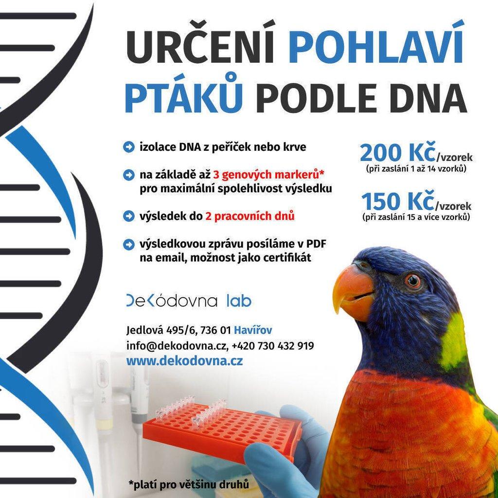 Stanovení pohlaví ptáků podle DNA