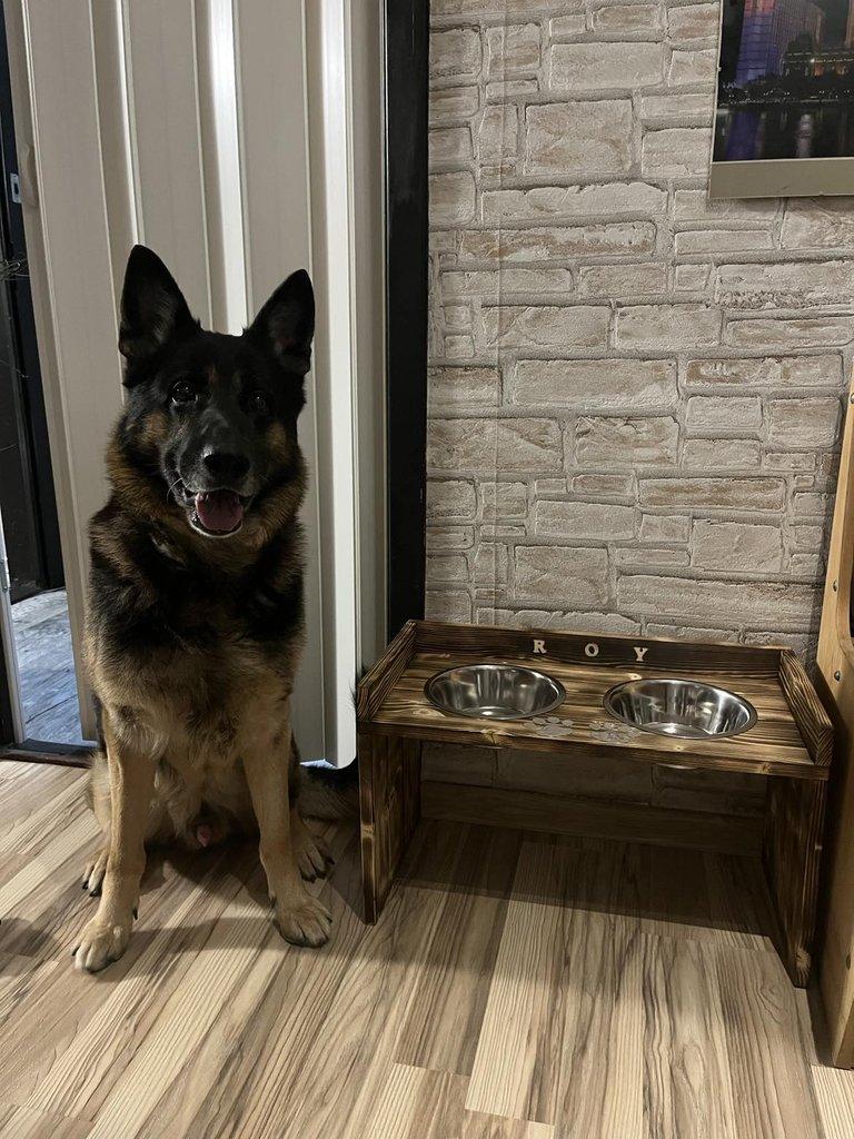 Dog bar
