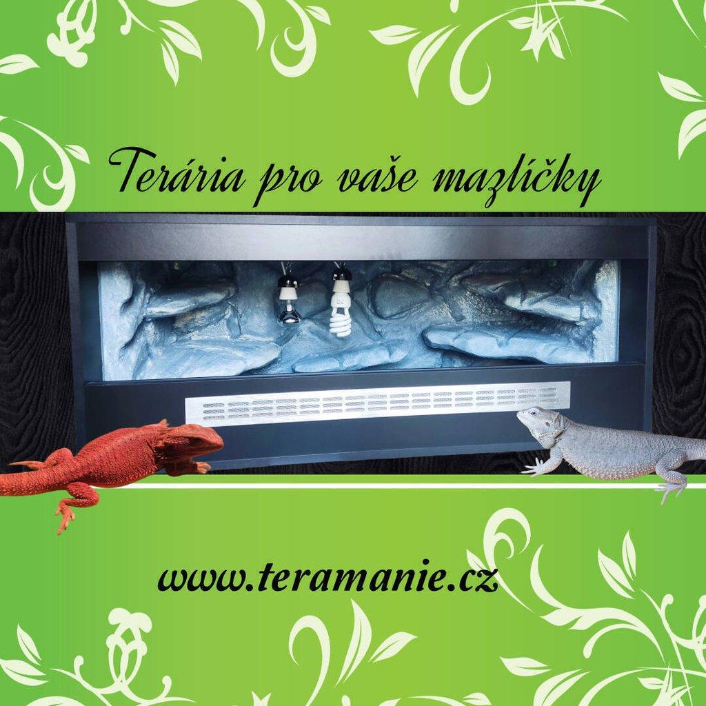 Terárium 100x50x50 s 3D stěnou