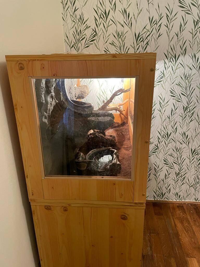 Daruji samici a samce krajty královské vč. terária