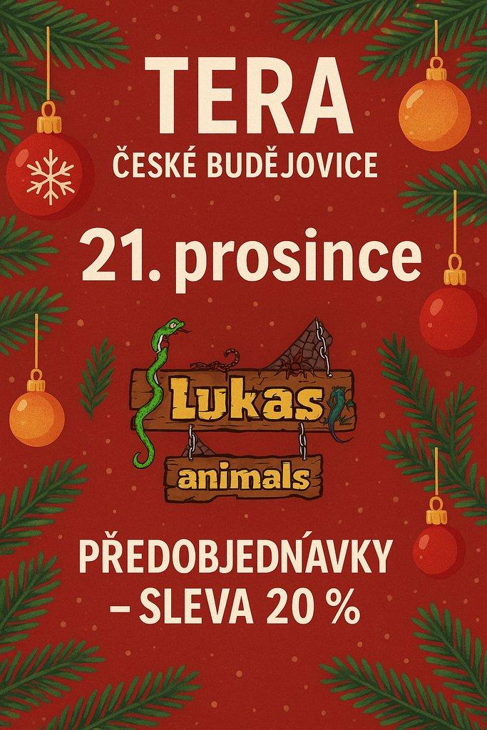 Tera České Budějovice 21.12