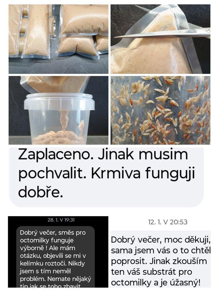 Médiu pro chov nelétavých octomilek