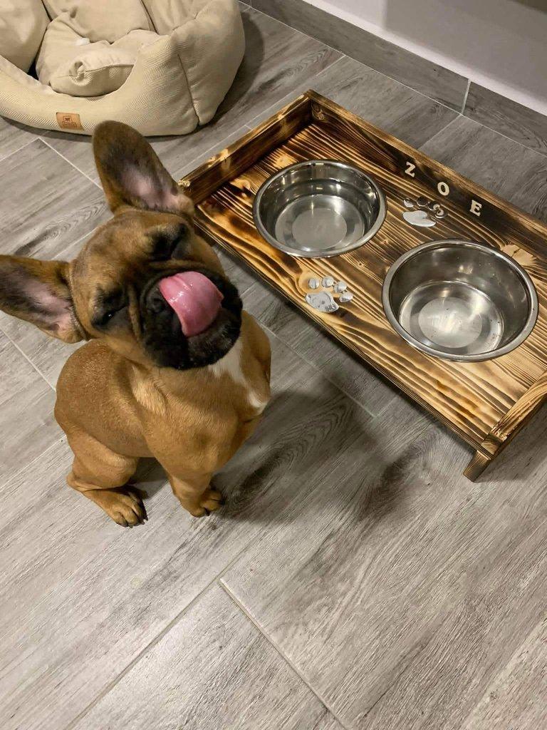 Dog bar