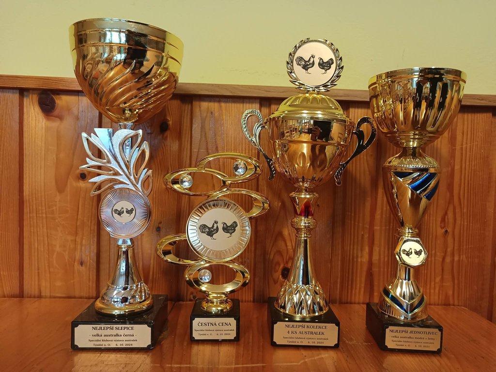 Násadová vejce Australky velké černé a modré s lemy