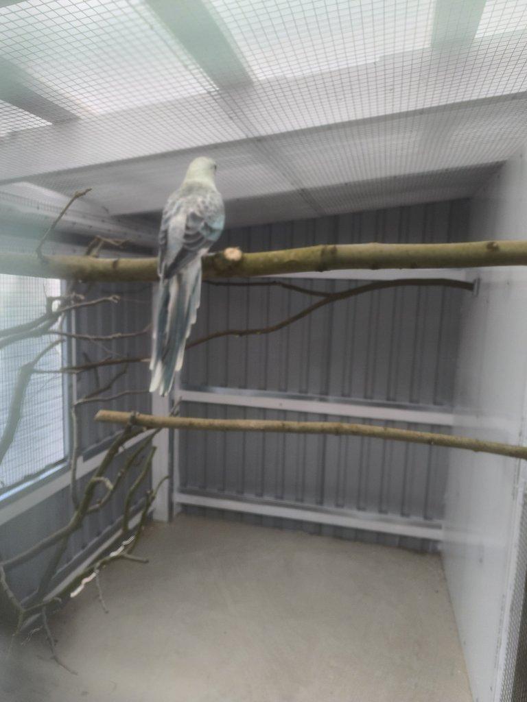 Poslední loňské kusy