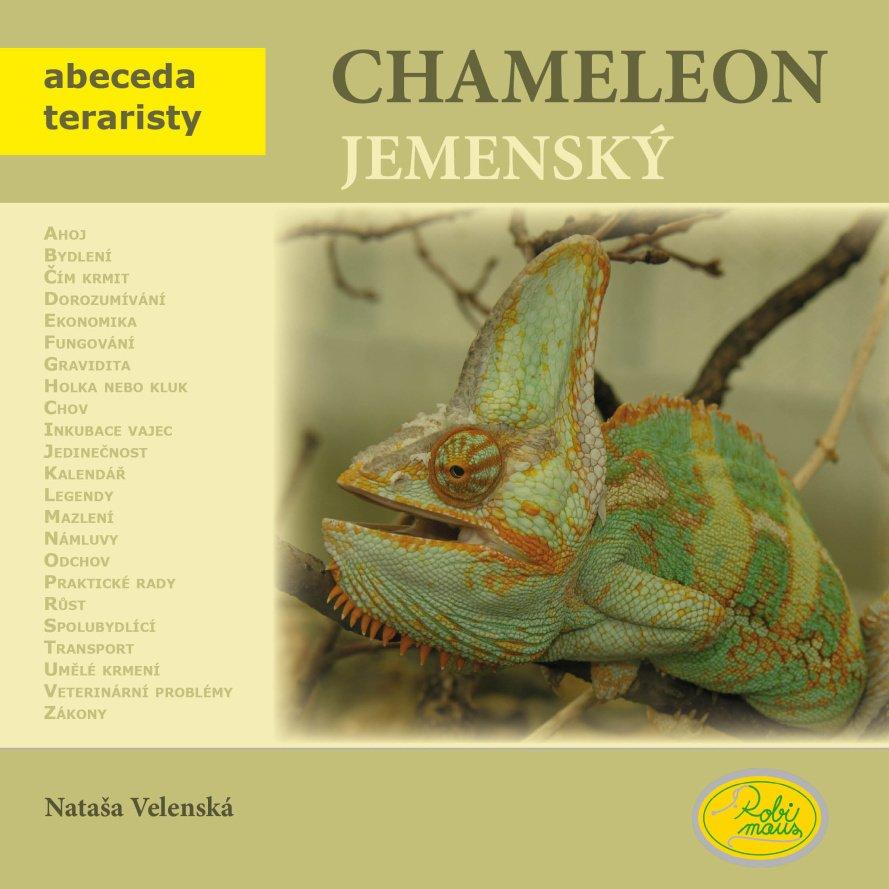 chameleon jemenský
