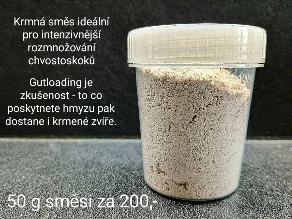 Chvostoskoci
