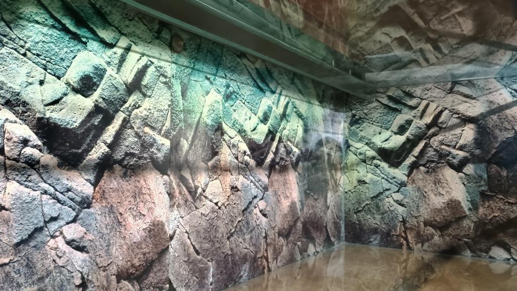 Prodám Velké Terárium  š - 160, h - 60, v - 55 cm