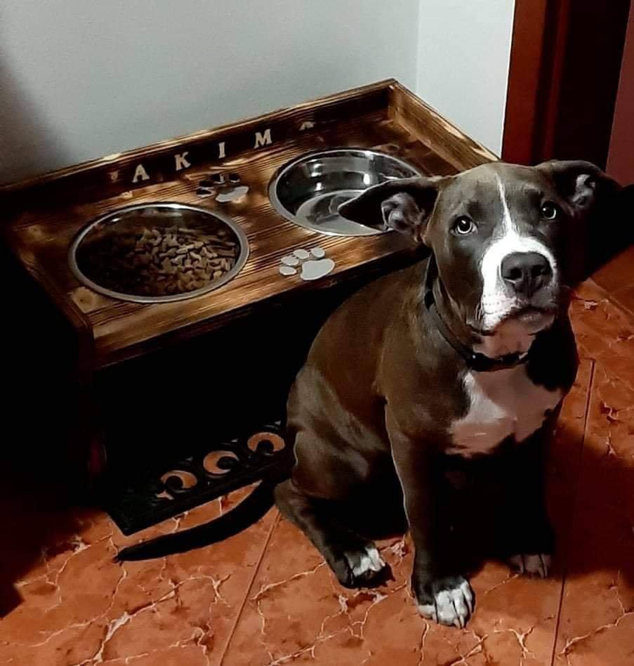 Dog bar