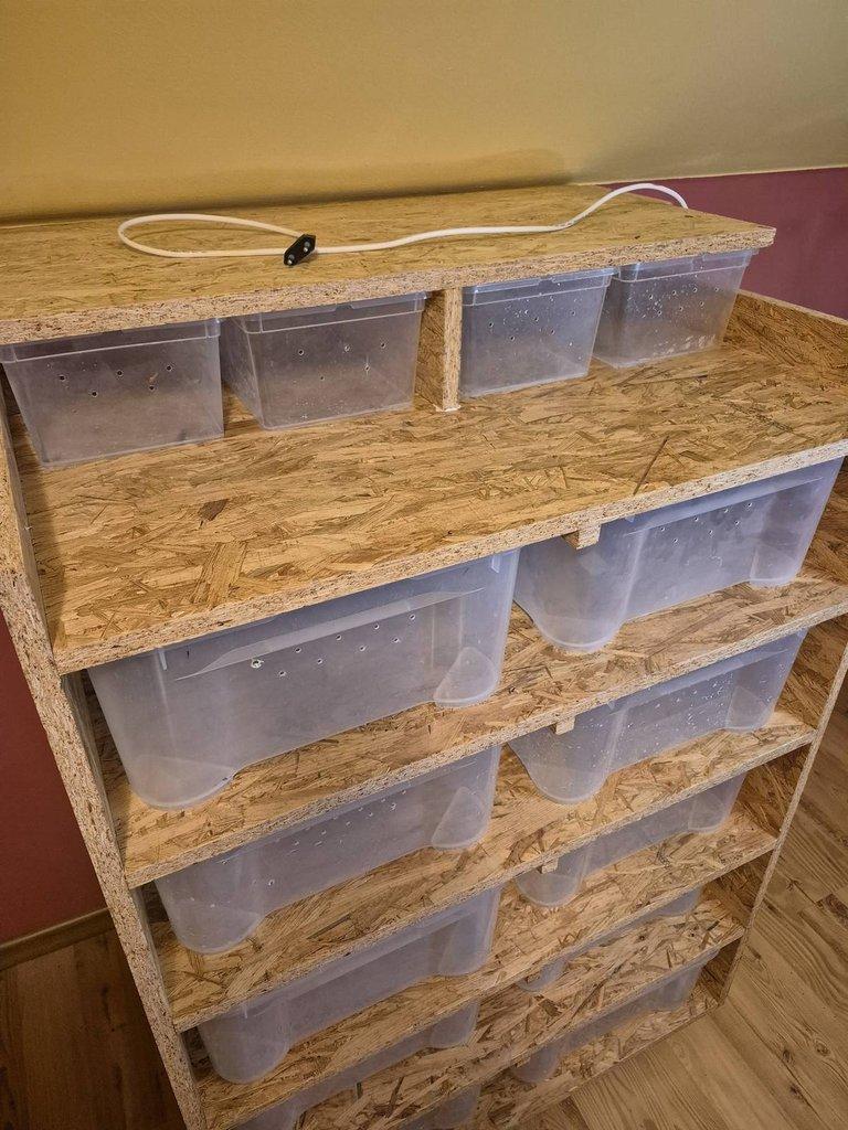 Rack systém pro užovky a korálovky