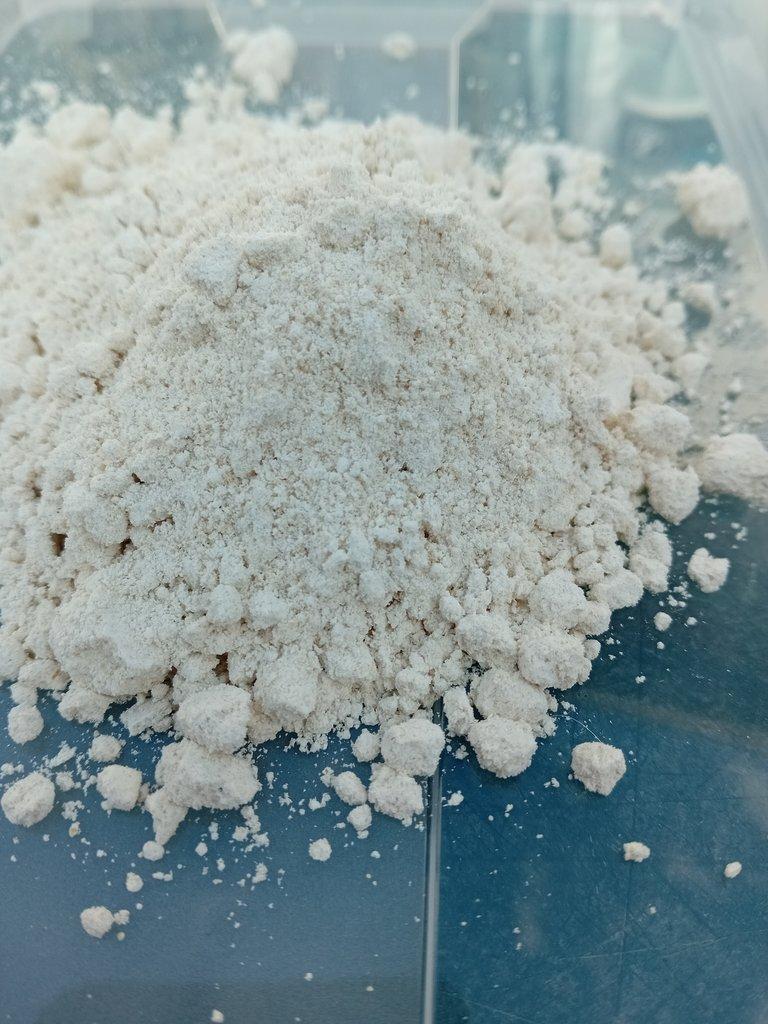 Auloforus - kompletní set na chov