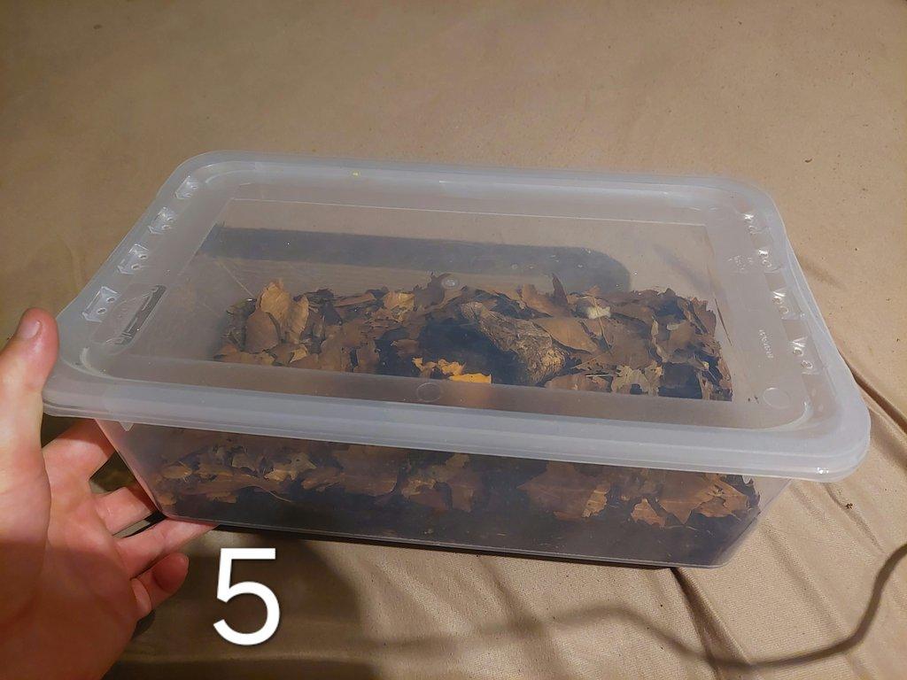 Prodej sbírky isopod