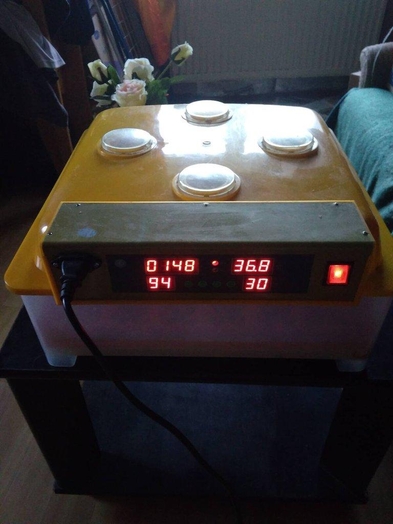 Líheň automatická na 36 vajec