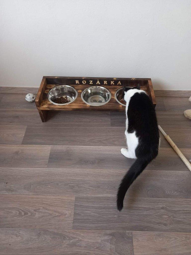 Dog bar