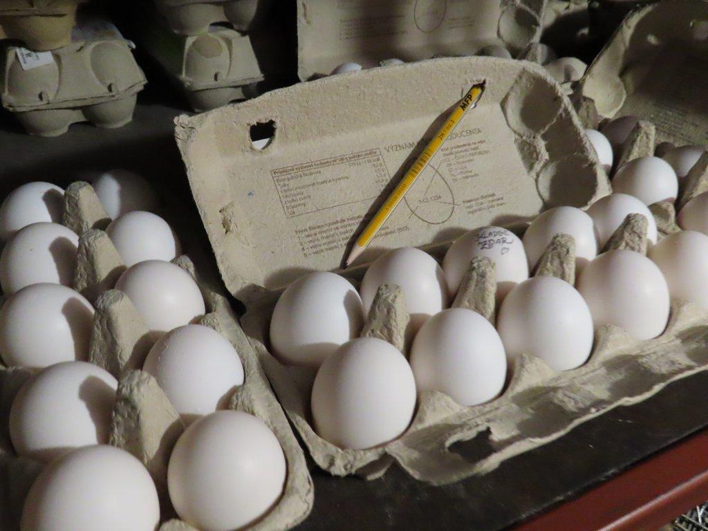 Vlaška stříbrně zbarvená