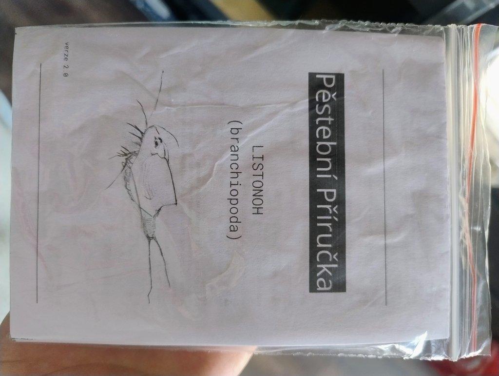 Listonoh letní- Triops cancriformis österreich. Chovná sada.